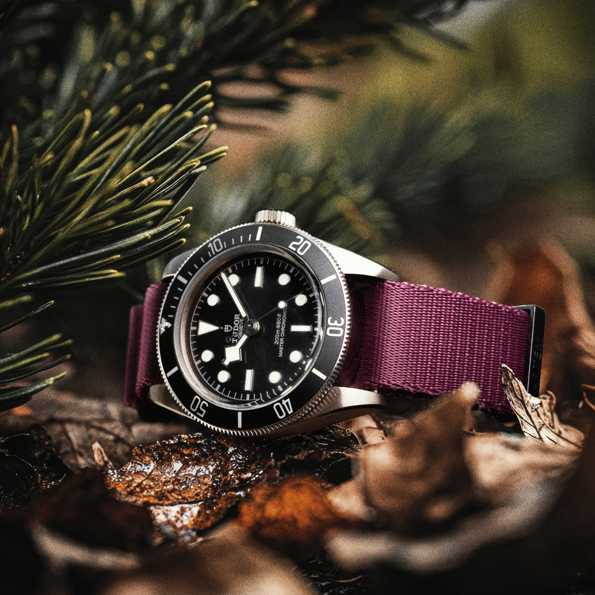 Burgundy Nylon Watch Strap